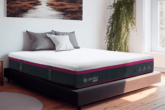 Descubre las últimas novedades en nuestra tienda online